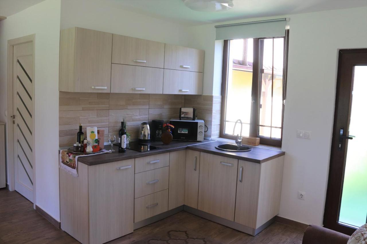 Casa De Vacanta Ayan Hărman Εξωτερικό φωτογραφία
