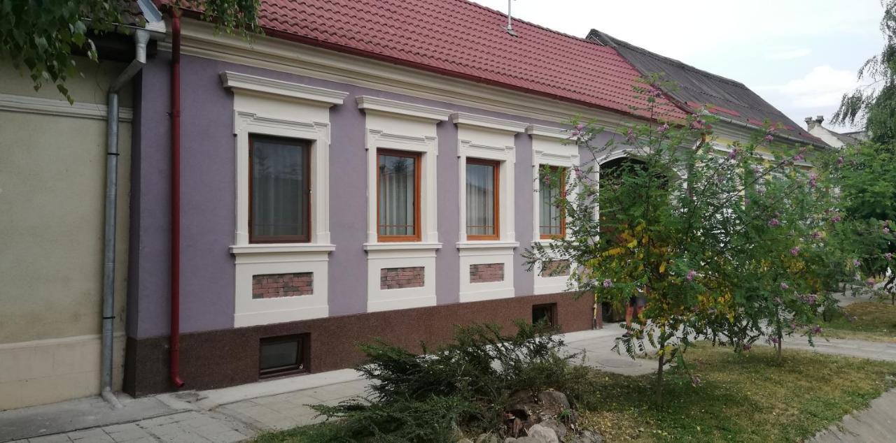 Casa De Vacanta Ayan Hărman Εξωτερικό φωτογραφία