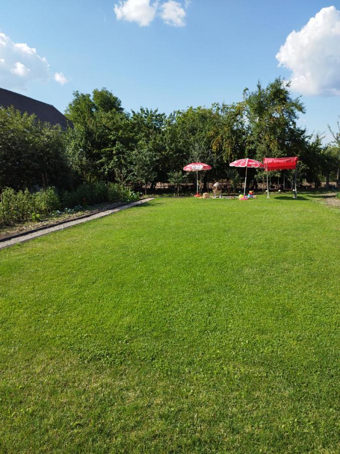 Casa De Vacanta Ayan Hărman Εξωτερικό φωτογραφία