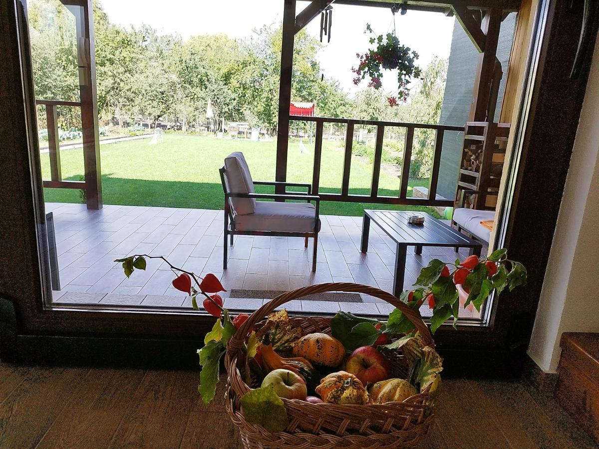 Casa De Vacanta Ayan Hărman Εξωτερικό φωτογραφία