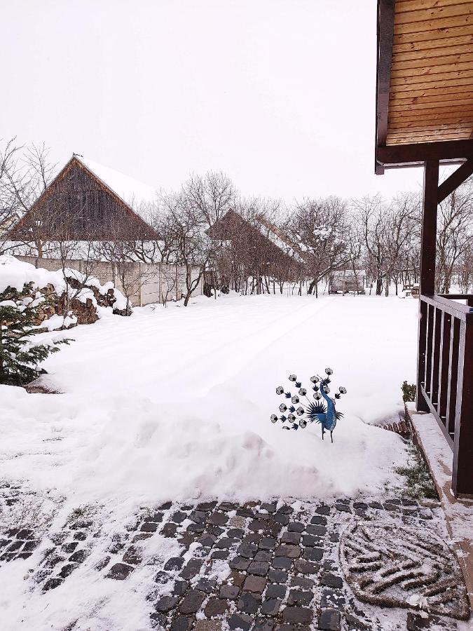 Casa De Vacanta Ayan Hărman Εξωτερικό φωτογραφία